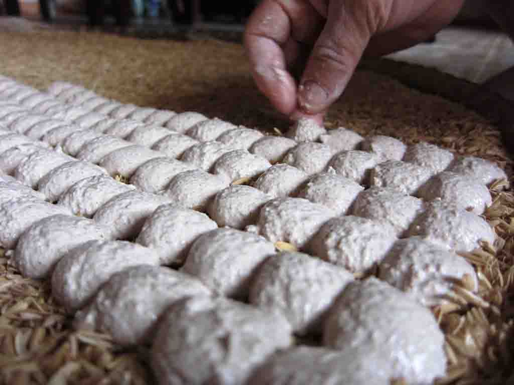 chế biến rượu cần