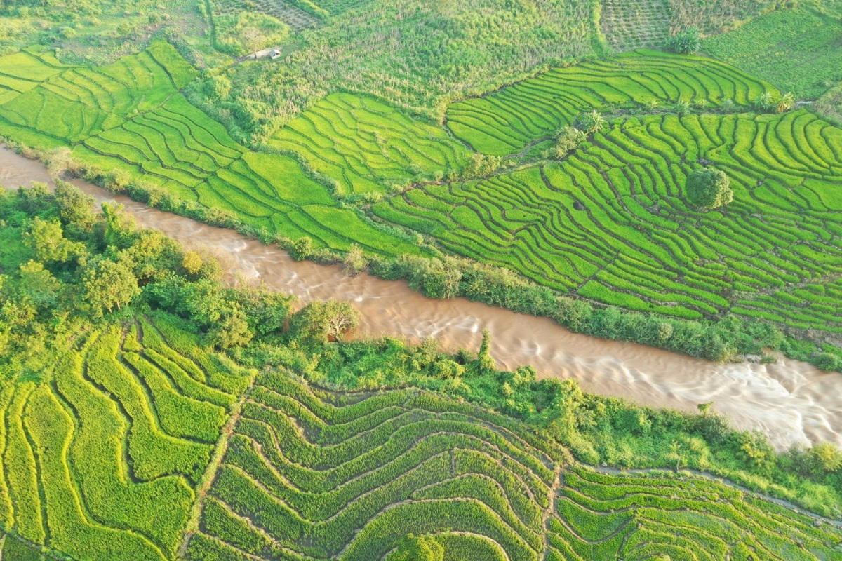 hình ảnh ruộng bậc thang Chư Sê